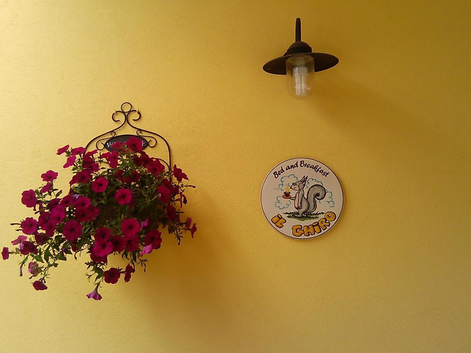 B&B Il Ghiro-Country House Mormanno Exterior foto