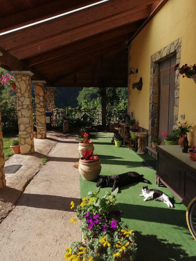 B&B Il Ghiro-Country House Mormanno Exterior foto