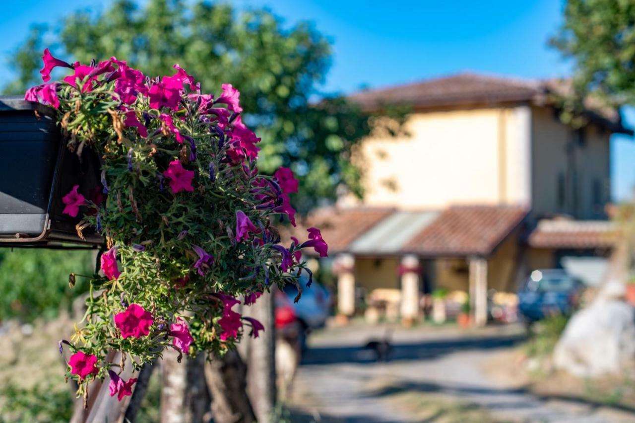 B&B Il Ghiro-Country House Mormanno Exterior foto